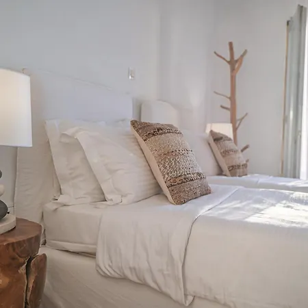 Villa Anthis Mykonos Fanari (Mykonos)