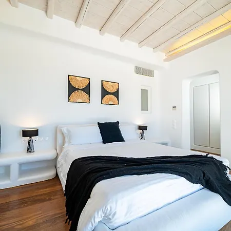 Anthis Mykonos Villa *
