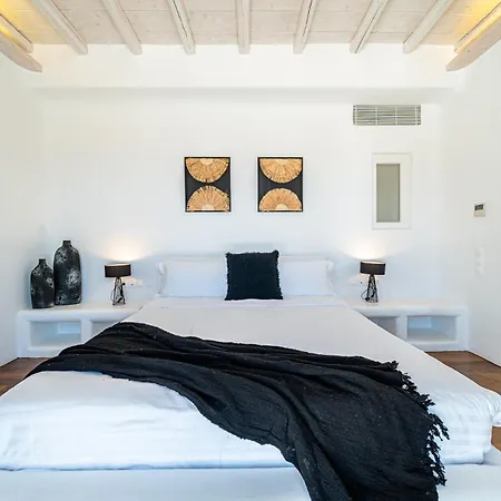 Villa Anthis Mykonos *