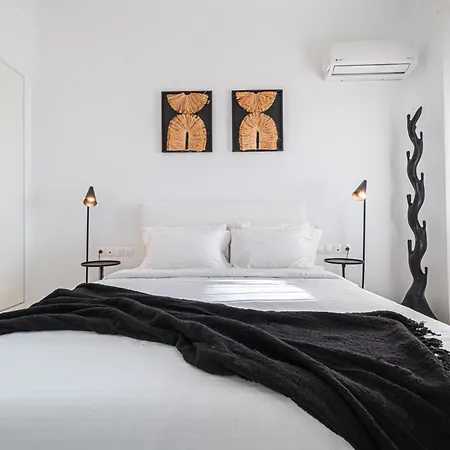 Villa Anthis Mykonos *